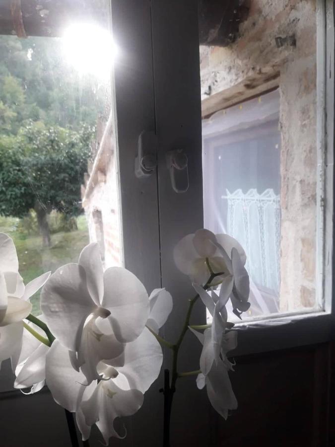 Montefortino Il Giardino Dei Sogni Bed & Breakfast エクステリア 写真